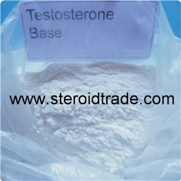 Testosterone Base